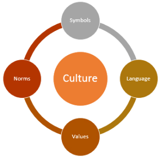 Basic Elements of Culture and Features